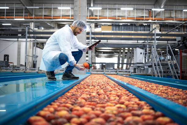 Compliance at a Crossroads: Why Food Manufacturing Fails Before the FDA Shows Up