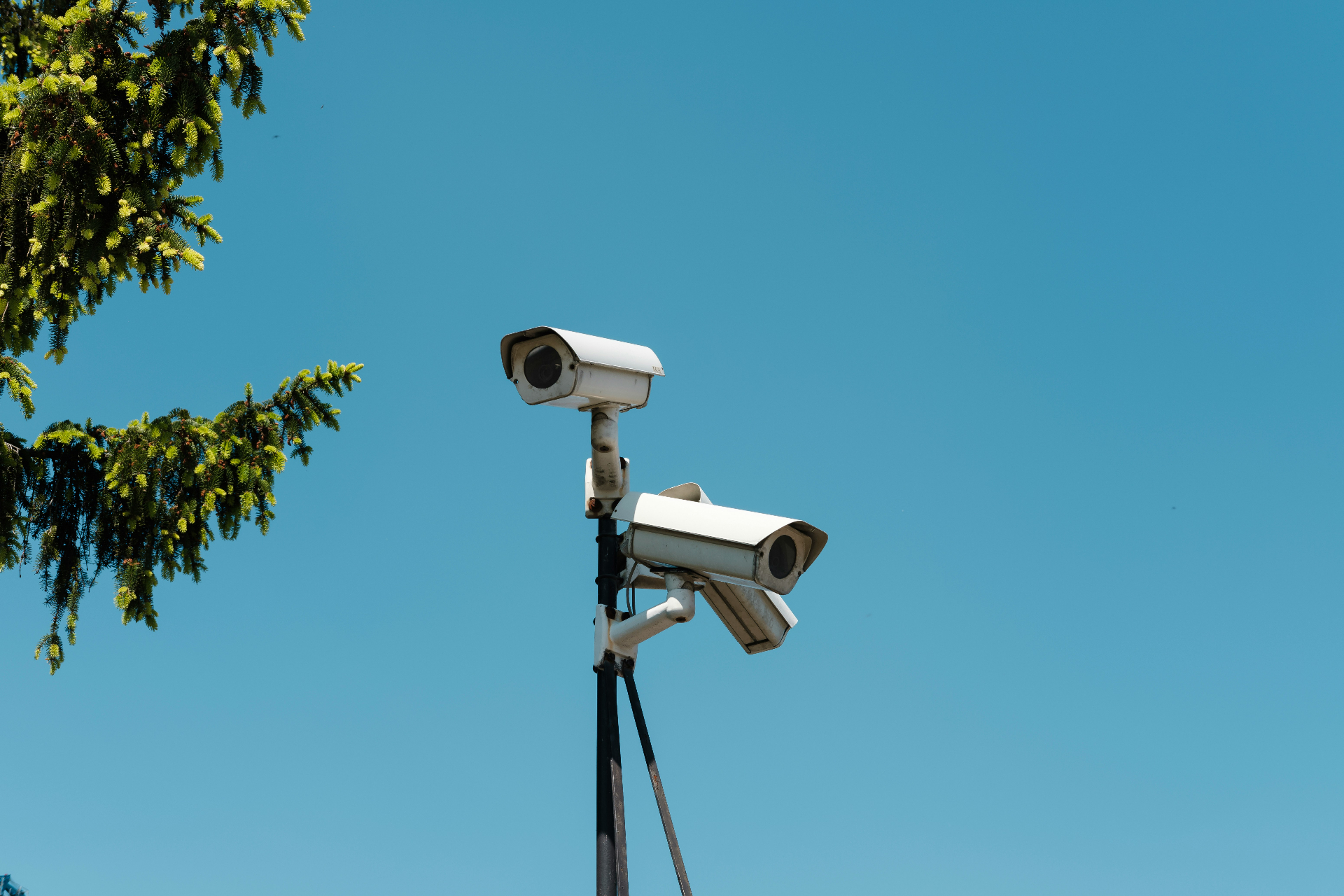 Boost Business Security with AI-Powered Intelligent Video Surveillance
